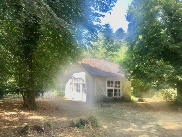ホテル Domaine Du Lampy-Neuf Saissac エクステリア 写真